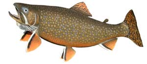 Brook Trout Fishing Lodges