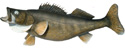 Walleye Replica by Perma Trophy