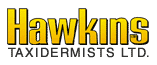 Hawkins Taxidermy