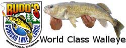 Walleye Fishing